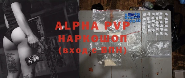 прущие грибы Бронницы