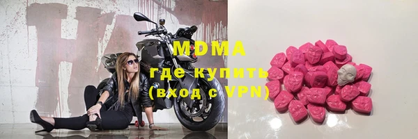 молекула духа Бородино
