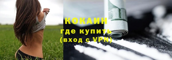 прущие грибы Бронницы
