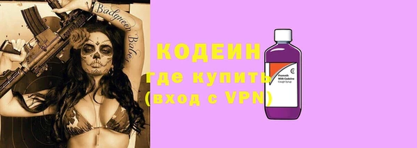 молекула духа Бородино