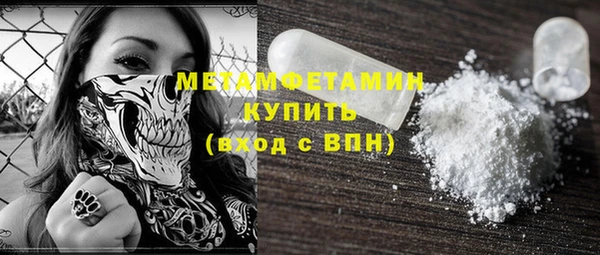 прущие грибы Бронницы