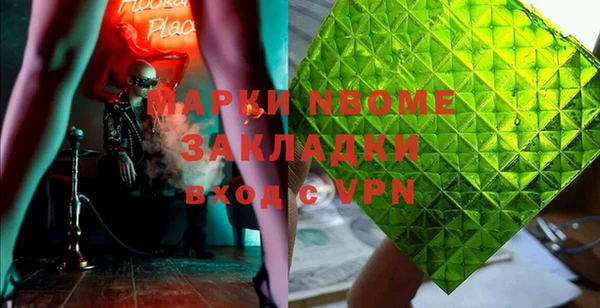 прущие грибы Бронницы