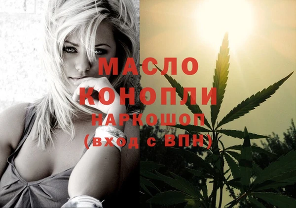 молекула духа Бородино