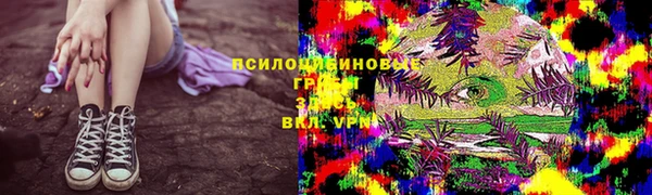 прущие грибы Бронницы