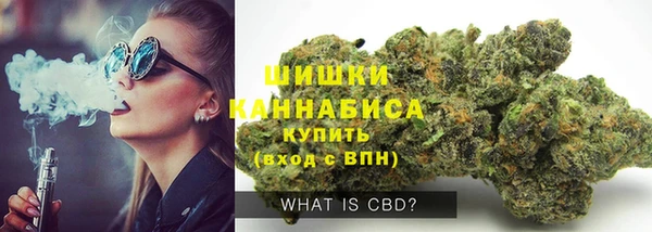 прущие грибы Бронницы