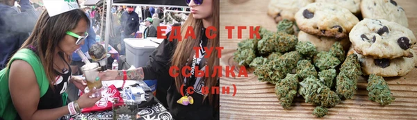молекула духа Бородино