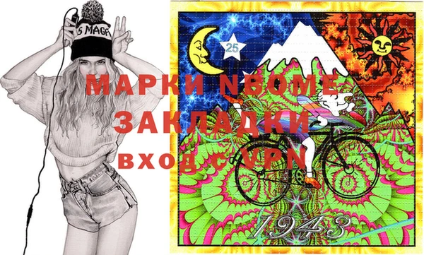 молекула духа Бородино