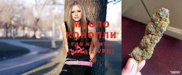 молекула духа Бородино